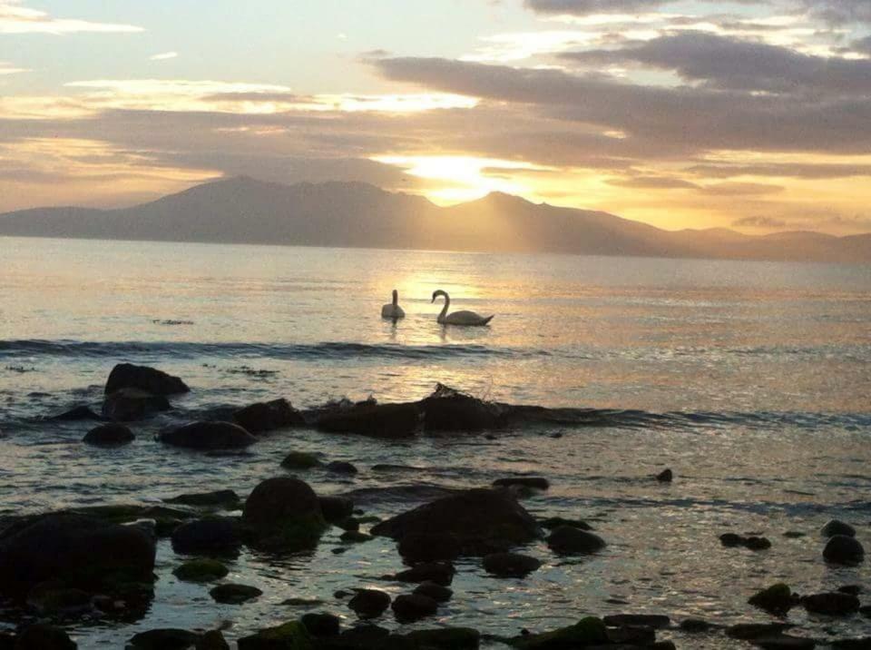 Tarbert Apartment West Kilbride Bagian luar foto